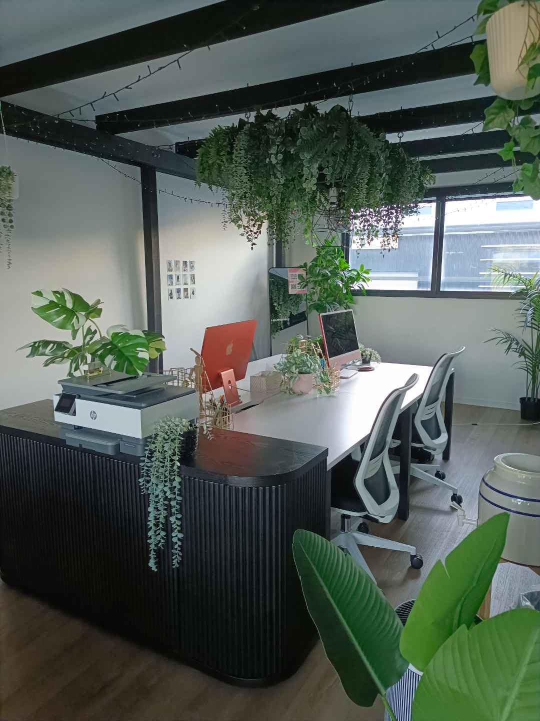 A plant-filled Gold Coast office cleaned and ready for the day